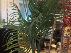 -沼津港精致料理·寿喜烧·烧鸟(漕河泾印象城店)