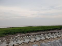 -南汇嘴观海公园