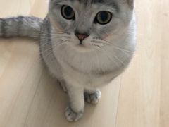 -金色印象·4K影院式足体养生(南滨印象店)