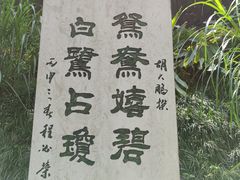 -重庆彩云湖湿地公园