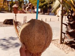 -西双版纳傣族园