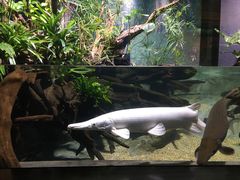 -新加坡海洋生态馆