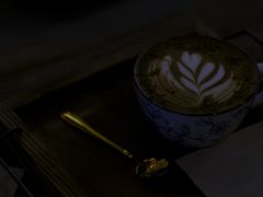 秋拿铁-春庄咖啡SpringHues(钟楼小区店)