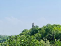 -渭南桃花源民俗文化园