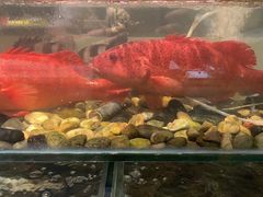 -东宴(温岭店)