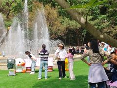 -燕塞湖鸟语林景区