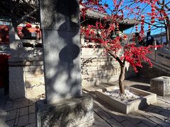 -红螺寺