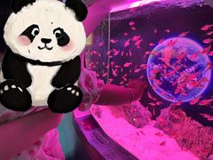 -正佳极地海洋世界