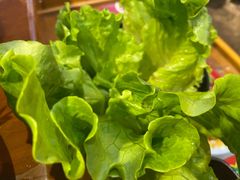 生菜-捞围鲜·港式打边炉(海阳路店)