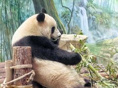 -杭州动物园