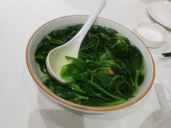 -峨嵋酒家 南北川菜 优选烤鸭(广渠路店)