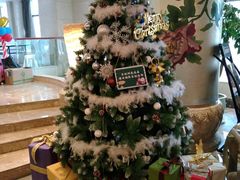 -长沙小天鹅戴斯酒店