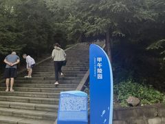 -大鹿岛