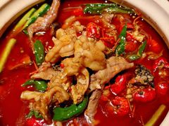 -杨氏青龙虾·羊蝎子(珠江路店)