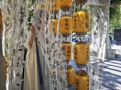 -百花洲