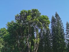 -十九路军淞沪抗日阵亡将士陵园