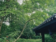 -王家渡火锅(三苏祠店)