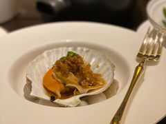 金蓉粉丝蒸夏威夷贝-甄御•海鲜新青岛菜(麦岛店)