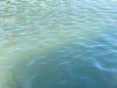 -天目溪漂流