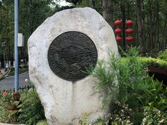 -合肥滨湖国家森林公园