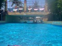 -上海玛雅海滩水公园