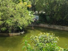 -深圳野生动物园