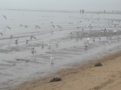 -金梦海湾浴场