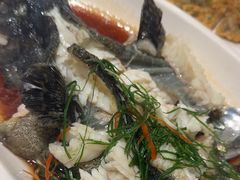 -鹅香四海·卤水火锅·砂锅粥·潮汕菜(宝安店)