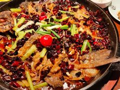 老板恋上鱼-老板恋上鱼(高新万达店)
