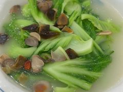 上汤水东芥-姚林轩