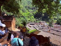 -杨家堂村