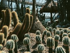 -南山植物园