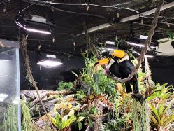 -Zoolung Zoolung动物主题公园(海信广场店)