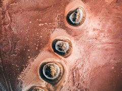 -鸣记脆皮烤鱼(岐山路店)