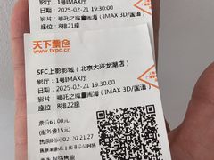 -SFC上影影城(北京大兴龙湖天街IMAX店)