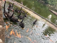 -海南热带野生动植物园
