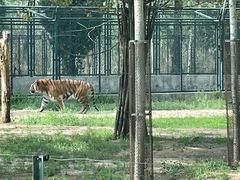 -秦皇岛野生动物园