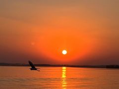 -艾溪湖湿地公园