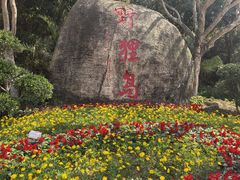 -野狸岛