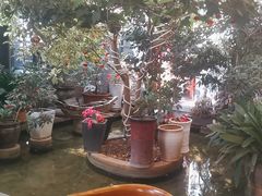 -海韵人家.海景花园经典云南菜(双廊店)