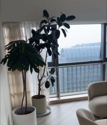 -HEYAN荷妍专业脱毛连锁机构