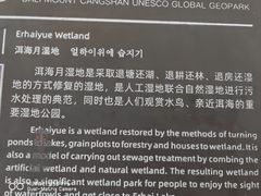 -洱海月湿地公园