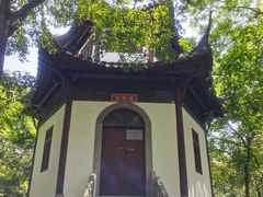 -上海佘山国家森林公园天马山园