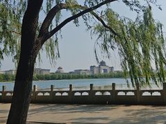 -莲花池公园