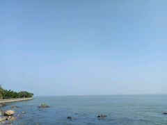-野狸岛