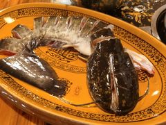 -老凯里苗岭酸汤鱼酸汤牛肉(百里杜鹃路店)