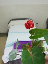 -南闸医院月子中心