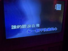 -皓声音KTV(新景店)