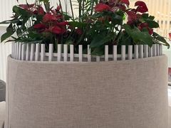 -LANN I 蘭 SPA(陆家嘴中心店)