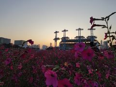 -海心沙亚运公园